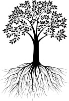 tree-with-roots-drawing-34